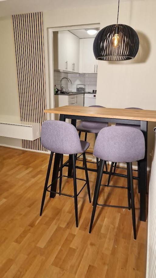 Mysigt Stadsoas: En Modern Laegenhet Med 2 Sovrum Leilighet